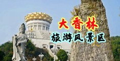 处女第一次摘花过程中国浙江-绍兴大香林旅游风景区